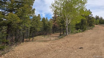 Lot 5825 Covington Rd, Fort Garland, CO 81133