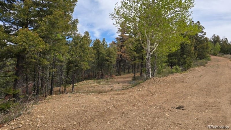 Lot 5825 Covington Rd, Fort Garland, CO 81133