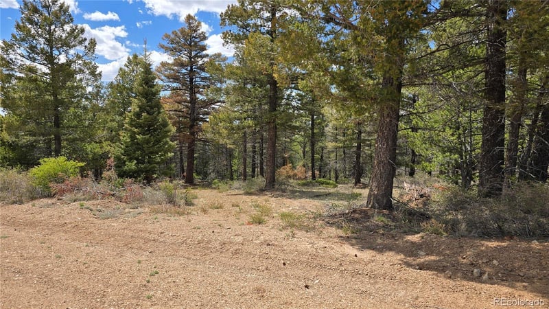 Lot 5825 Covington Rd, Fort Garland, CO 81133