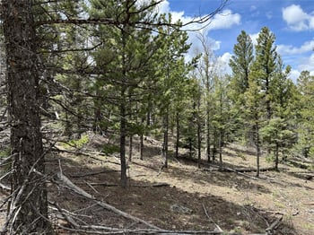 Lot 5825 Covington Rd, Fort Garland, CO 81133