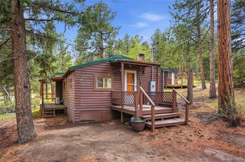 14032 Olive Ave, Pine, CO 80470