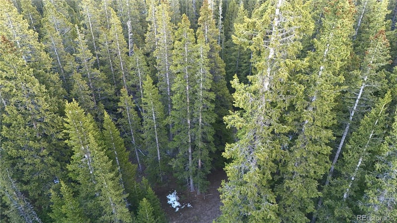 210 Silverheels Pl, Fairplay, CO 80440