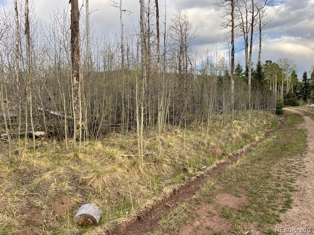Lot 2610 Lux Ln, Fort Garland, CO 81133