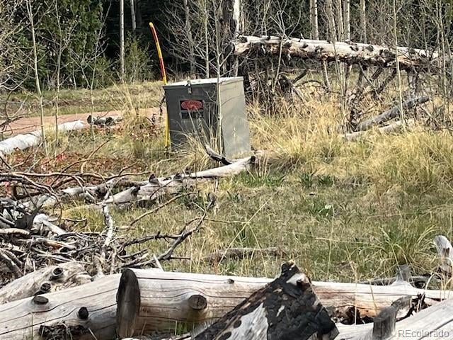 Lot 2610 Lux Ln, Fort Garland, CO 81133