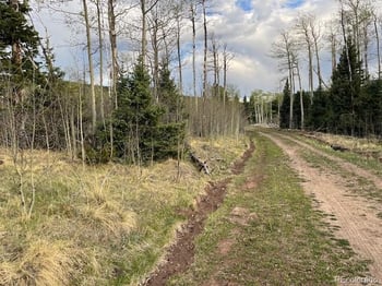 Lot 2610 Lux Ln, Fort Garland, CO 81133