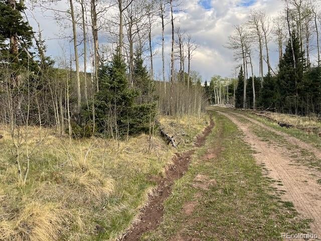 Lot 2610 Lux Ln, Fort Garland, CO 81133