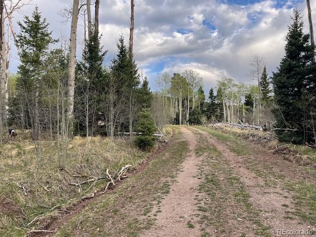 Lot 2610 Lux Ln, Fort Garland, CO 81133