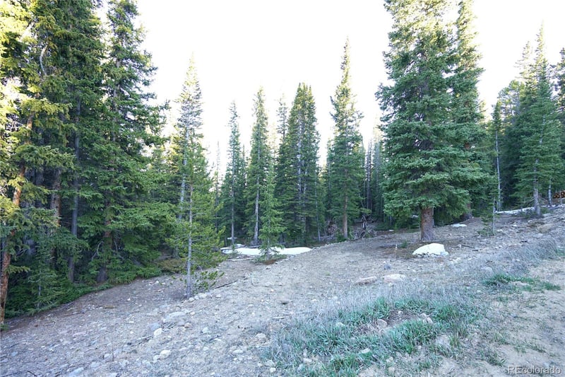 252 Silverheels Pl, Fairplay, CO 80440