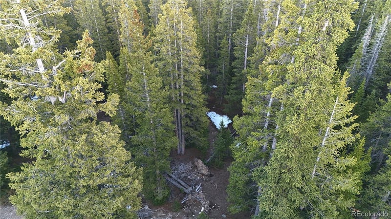 252 Silverheels Pl, Fairplay, CO 80440