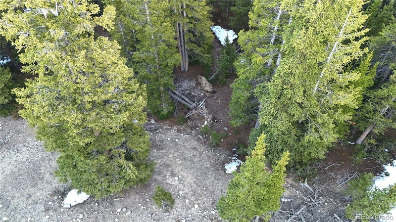 252 Silverheels Pl, Fairplay, CO 80440