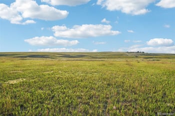 Lot 2 County Road 37, Elbert, CO 80106