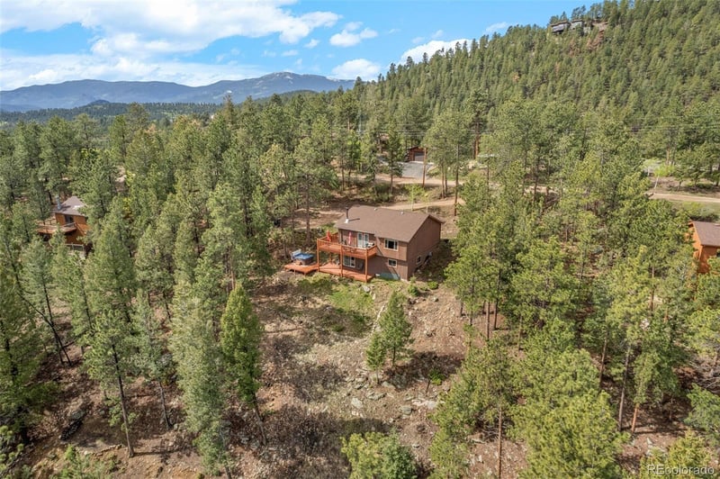181 Catamount Ridge Rd, Bailey, CO 80421
