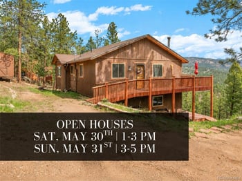 181 Catamount Ridge Rd, Bailey, CO 80421