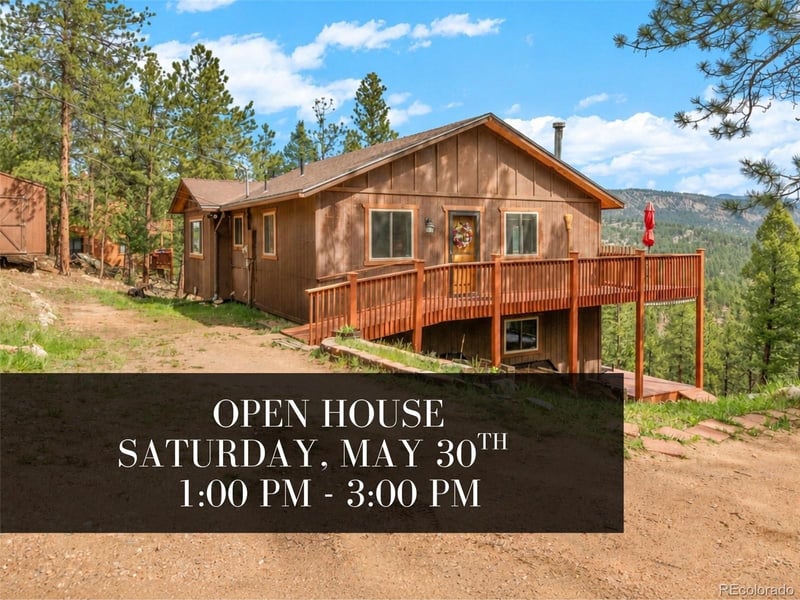 181 Catamount Ridge Rd, Bailey, CO 80421