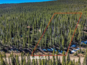 880 Gold Pan Ln, Fairplay, CO 80440