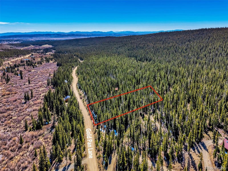 880 Gold Pan Ln, Fairplay, CO 80440