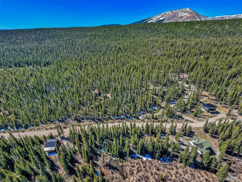 880 Gold Pan Ln, Fairplay, CO 80440