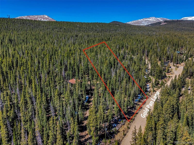 880 Gold Pan Ln, Fairplay, CO 80440