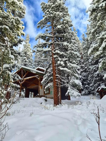 232 Goldfinch Pl, Alma, CO 80420