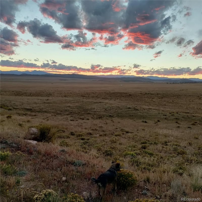 1328 Garfield Rd, Hartsel, CO 80449
