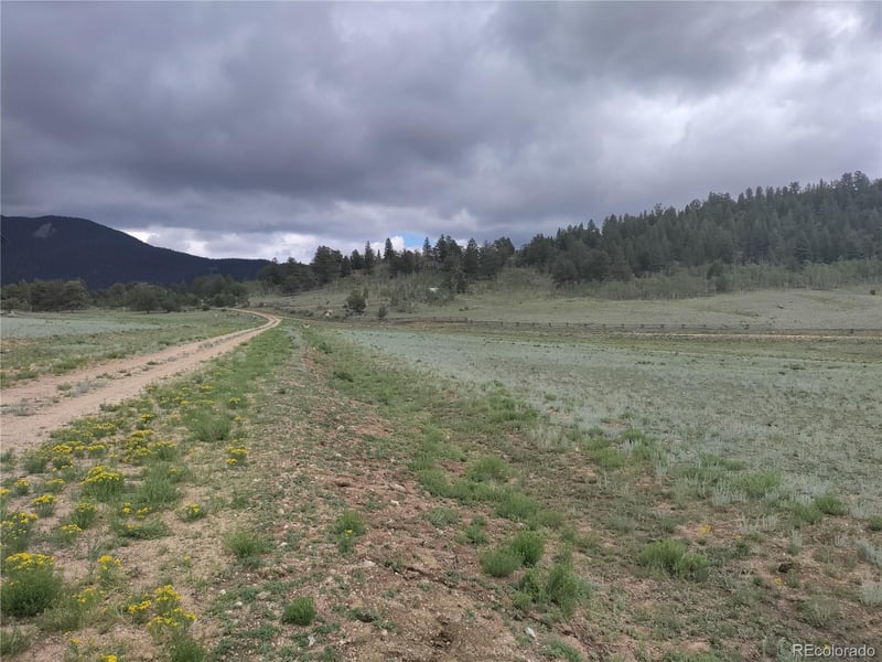 1328 Garfield Rd, Hartsel, CO 80449