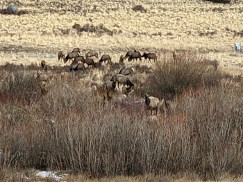Snow Cap Peaks Rd, Alma, CO 80402