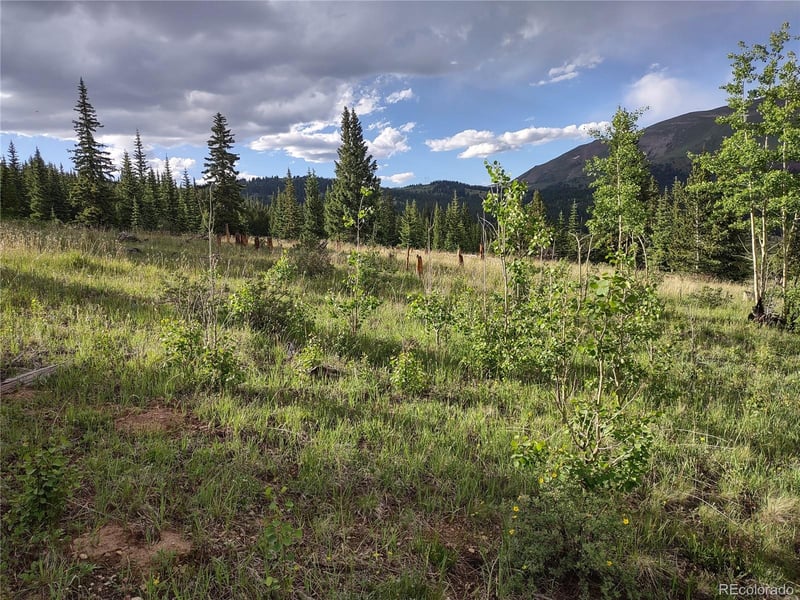 0 Snow Cap Peaks Rd, Alma, CO 80402