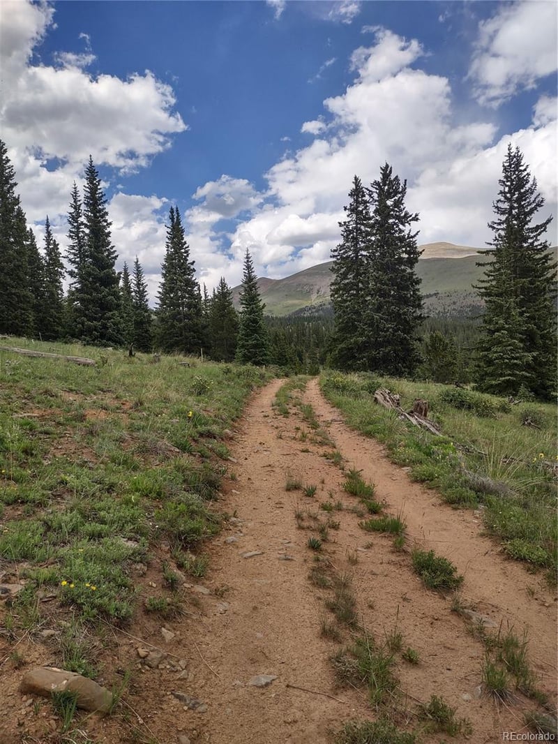 0 Snow Cap Peaks Rd, Alma, CO 80402