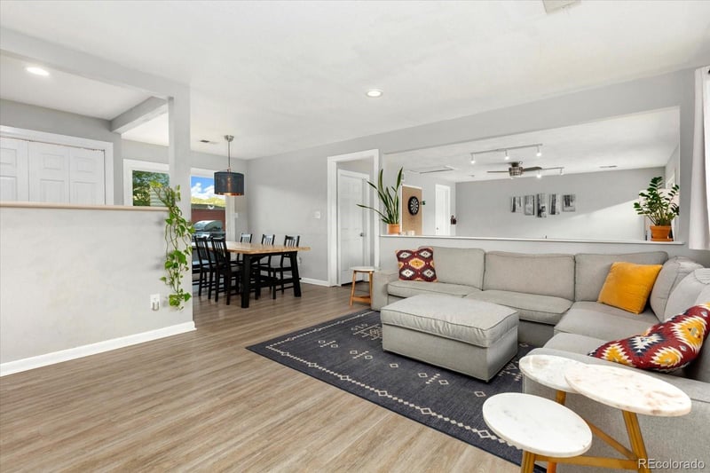 565 Park Ln, Buena Vista, CO 81211
