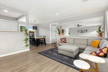 565 Park Ln, Buena Vista, CO 81211