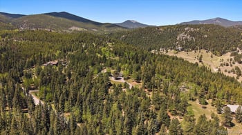 1229 Soda Creek Dr, Evergreen, CO 80439
