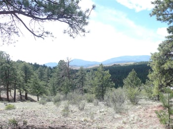 13694 Drake Ct, Pine, CO 80470