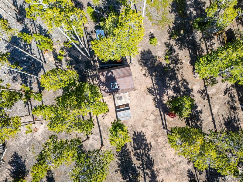 297 Manso Way, Red Feather Lakes, CO 80545