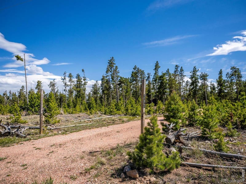 297 Manso Way, Red Feather Lakes, CO 80545