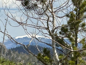 297 Manso Way, Red Feather Lakes, CO 80545