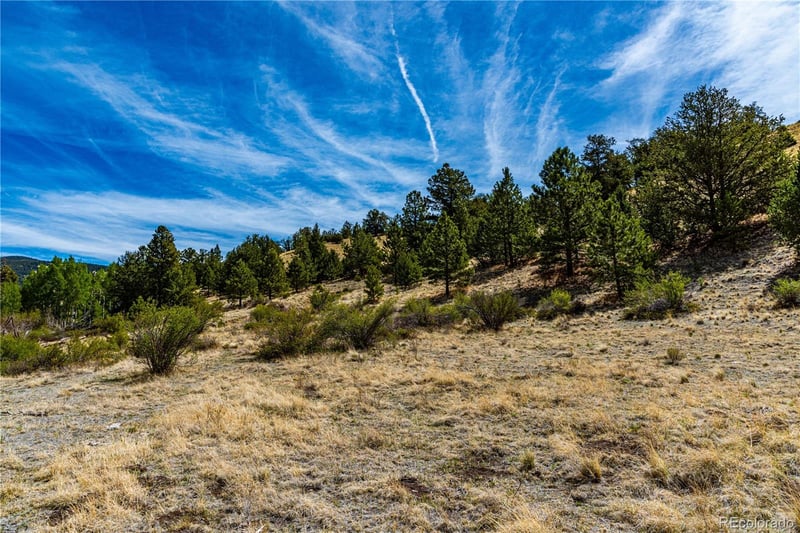 1282 County Road 169a, Cotopaxi, CO 81223