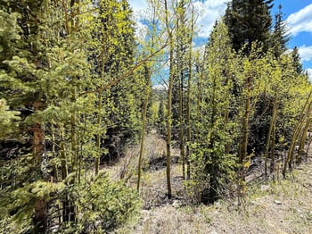 324 Bauxite Ln, Fairplay, CO 80440