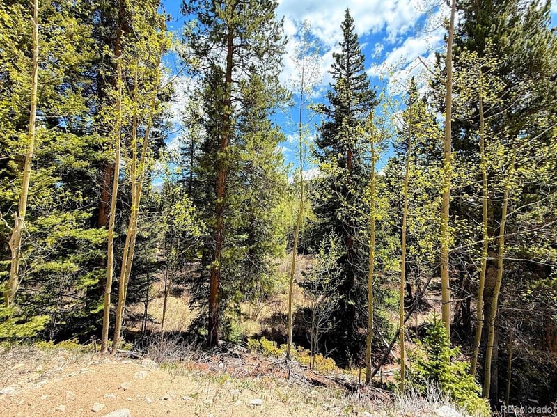 324 Bauxite Ln, Fairplay, CO 80440