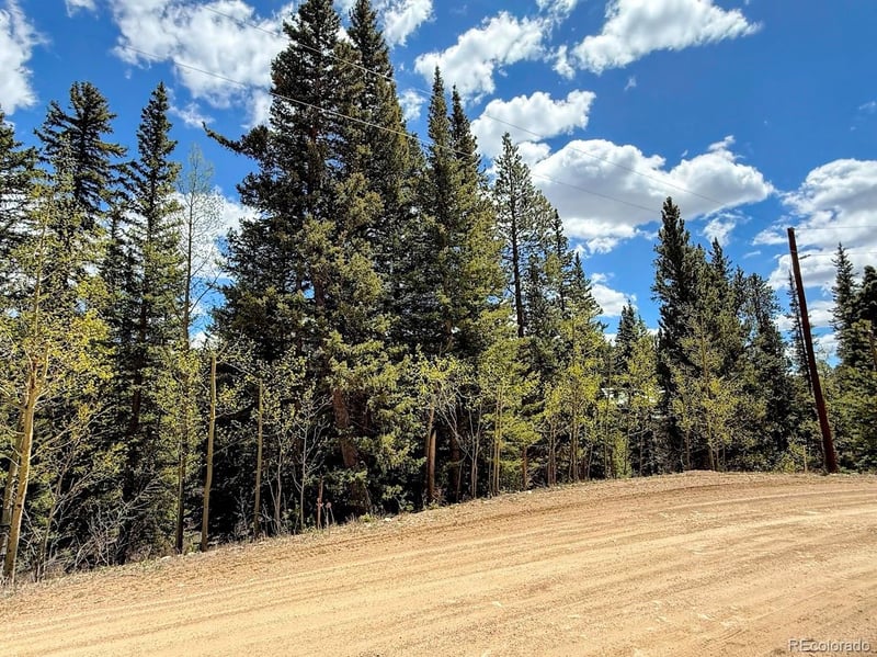 324 Bauxite Ln, Fairplay, CO 80440