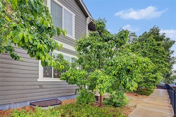 3502 Big Ben Dr #D, Fort Collins, CO 80526