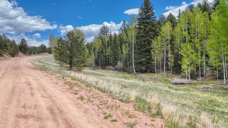 42 Rabbit Cir, Florissant, CO 80816