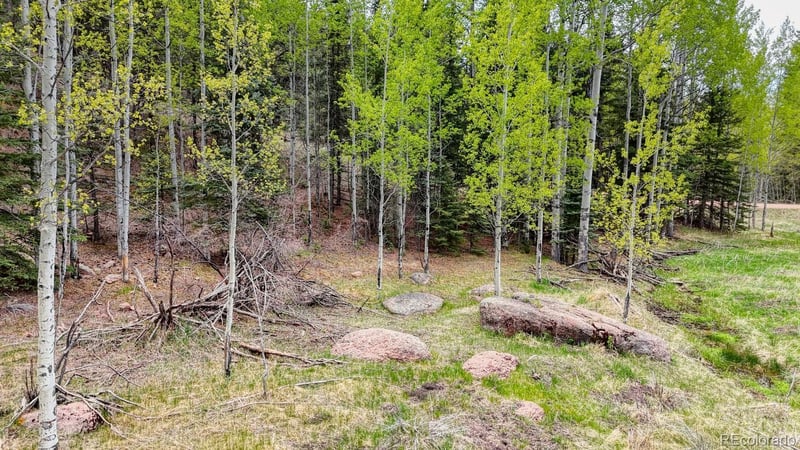 42 Rabbit Cir, Florissant, CO 80816
