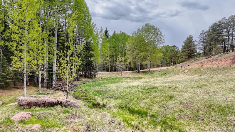 42 Rabbit Cir, Florissant, CO 80816