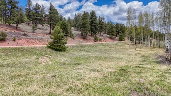 42 Rabbit Cir, Florissant, CO 80816