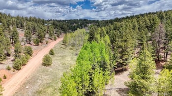 42 Rabbit Cir, Florissant, CO 80816