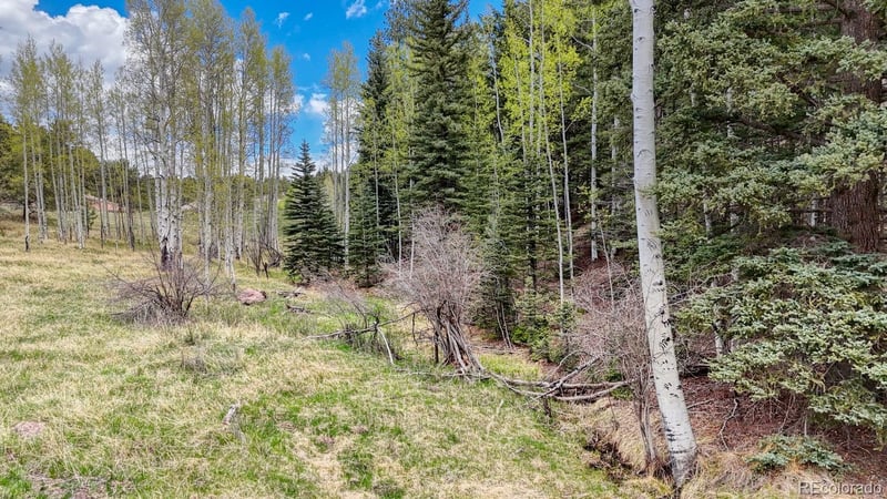 42 Rabbit Cir, Florissant, CO 80816
