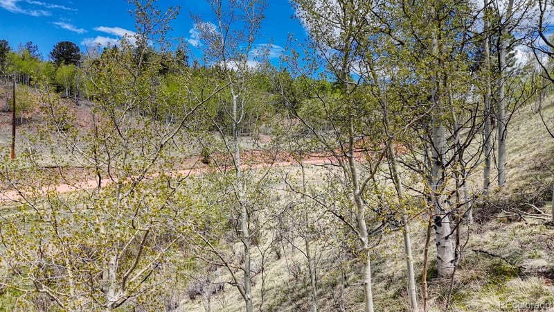 2031 Gold King Dr, Cripple Creek, CO 80813