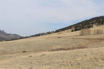 1115 Eagle Gate Rd, Westcliffe, CO 81252