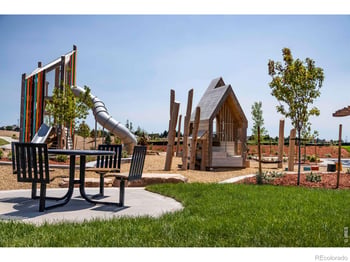 947 Trumpet Ln, Windsor, CO 80550