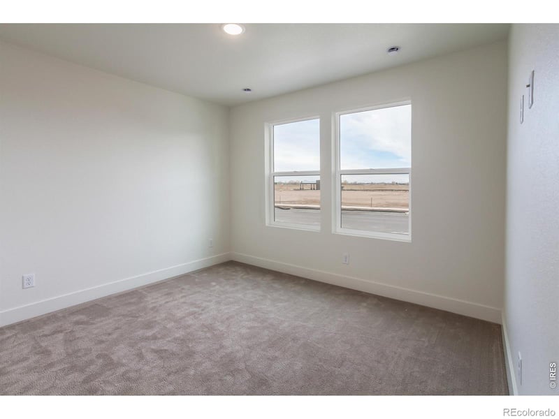 947 Trumpet Ln, Windsor, CO 80550